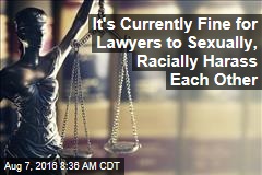It&#39;s Currently Fine for Lawyers to Sexually, Racially Harass Each Other