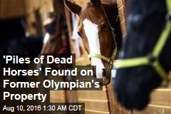 &#39;Piles of Dead Horses&#39; Found on Former Olympian&#39;s Property