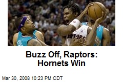 Buzz Off, Raptors: Hornets Win