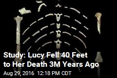 Study: Lucy Fell 40 Feet to Her Death 3M Years Ago