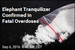 Elephant Tranquilizer Confirmed in Fatal Overdoses