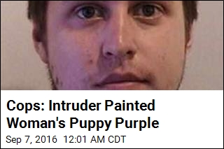 Cops: Intruder Painted Woman&#39;s Puppy Purple