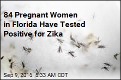84 Pregnant Women in Florida Have Zika