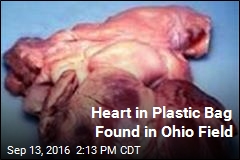 Heart in Plastic Bag Found in Ohio Field