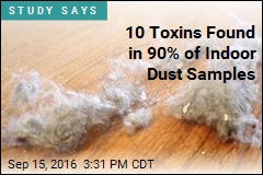 Dust in Your Home Could Be Teeming With Toxins