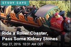 Ride a Roller Coaster, Pass Some Kidney Stones