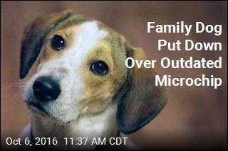 Family Dog Put Down Over Outdated Microchip