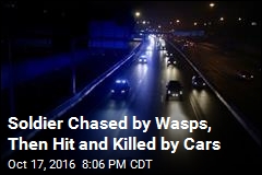Soldier Chased by Wasps, Then Hit and Killed by Cars