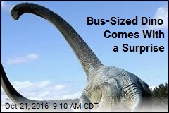 Bus-Sized Dino Comes With a Surprise