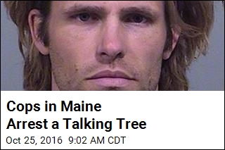 Cops in Maine Arrest a Talking Tree
