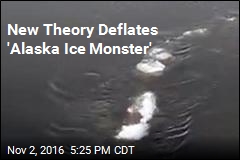 New Theory Deflates &#39;Alaska Ice Monster&#39;