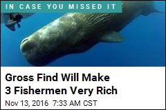 Gross Find Will Make 3 Fishermen Very Rich
