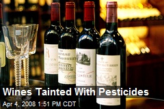 Wines Tainted With Pesticides