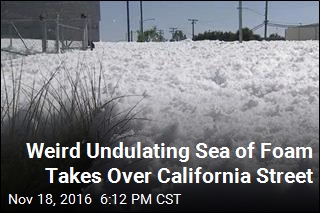 Foam Spill Turns California Into Winter Wonderland