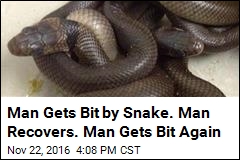 Man Gets Bit by Snake. Man Recovers. Man Gets Bit Again