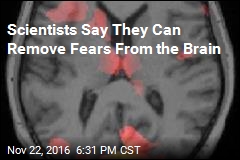 Scientists Say They Can Remove Fears From the Brain