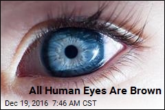All Human Eyes Are Brown
