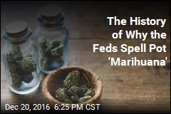 The History of Why the Feds Spell Pot &#39;Marihuana&#39;