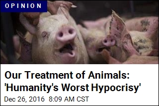 Our Treatment of Animals: &#39;Humanity&#39;s Worst Hypocrisy&#39;