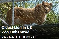 America Loses Its Oldest Lion