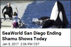 SeaWorld San Diego Bids Farewell to Shamu Shows