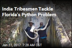 Florida Brings in Python-Catchers From India