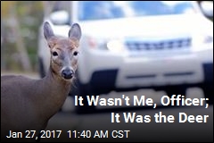 Man Blames Hypothetical Deer for Speeding Ticket