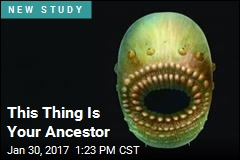 This Thing Is Your Ancestor