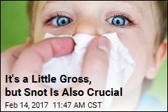 It&#39;s a Little Gross, but Snot Is Also Crucial