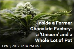 Inside a Former Chocolate Factory: a &#39;Unicorn&#39; and a Whole Lot of Pot