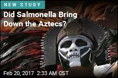 Did Salmonella Cause Outbreaks Behind Aztec Collapse?