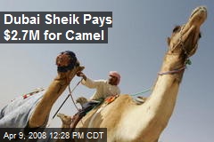 Dubai Sheik Pays $2.7M for Camel