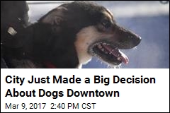 City&#39;s Downtown Bans Dogs If Owners Don&#39;t Live, Work There