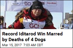 Veteran Musher Becomes Oldest, Fastest to Win Iditarod