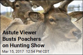 2 Hunters Sentenced for Poaching Elk for TV Show