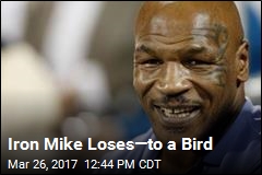 Iron Mike Loses&mdash;to a Bird