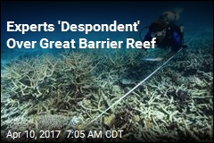Only a Third of Great Barrier Reef Now Undamaged