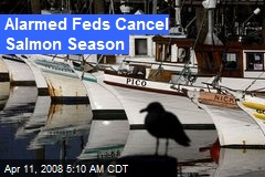 Alarmed Feds Cancel Salmon Season