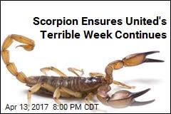 Scorpion Ensures United&#39;s Terrible Week Continues
