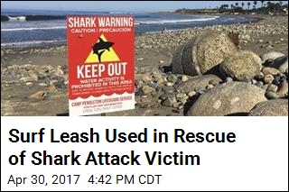 Shark Attacks Woman in Popular Cali Surf Spot