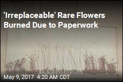 Biosecurity Officials Incinerate &#39;Irreplaceable&#39; Rare Flowers
