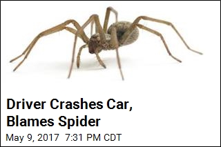 Driver: Spider Made Me Crash My Car