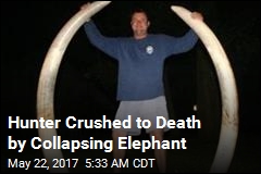 Hunter Crushed to Death by Elephant