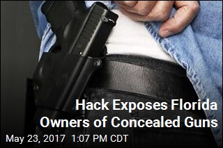 Hackers Breach Florida&#39;s Concealed Gun Registry