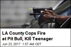 LA County Cops Fire at Pit Bull, Kill Teenager