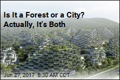 Is It a Forest or a City? Actually, It&#39;s Both