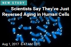 Scientists Reverse Aging&mdash; at Least in a Petri Dish