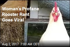 Woman&#39;s Profane Rooster Rant Goes Viral