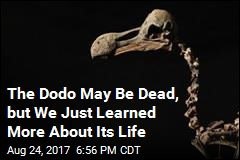 The Dodo May Be Dead, But We Just Learned More About Its Life