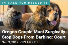 Court: Oregon Couple Must Have Dogs&#39; Vocal Cords Cut